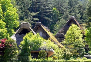 hidanosato4s.jpg