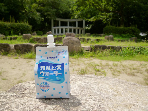 カルピスウォーター